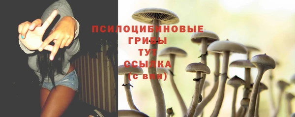экстази Белокуриха