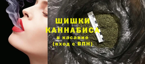 индика Протвино