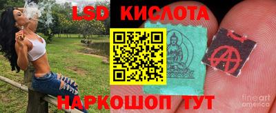 гидропоника Малоярославец