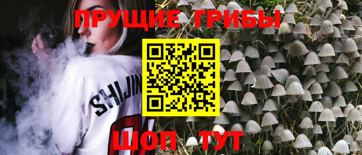 Пыть-Ях  Псилоцибиновые грибы прущие грибы  Галлюциногенные грибы Psilocybine cubensis  Вход с VPN 