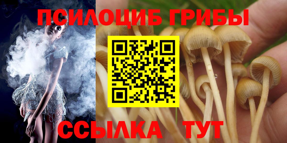 Псилоцибиновые грибы прущие грибы Пыть-Ях